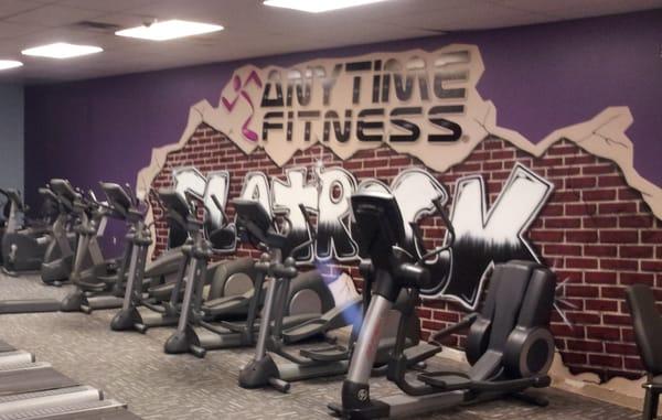 Anytime Fitness of Flat Rock - Downriver's Premier 24/7/365 Fitness Facility