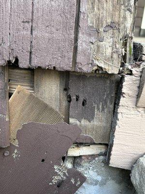 Decayed Wooden Siding