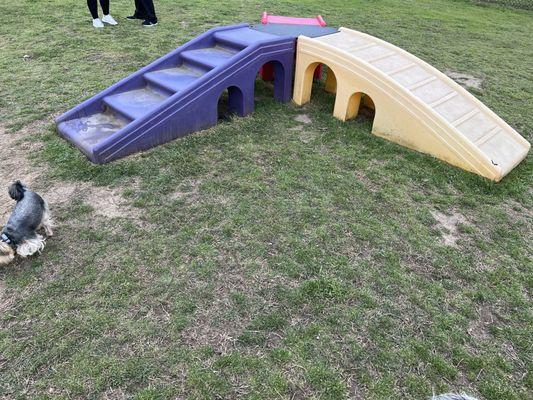 Small breed area includes agility ramps with open tunnels.