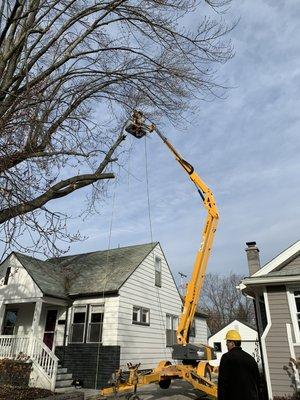 Alan's Tree Service