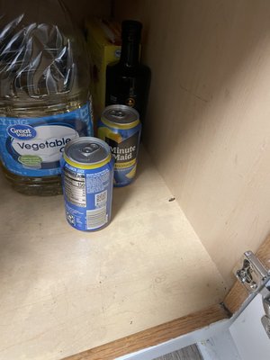 Dead Roaches in cabinets