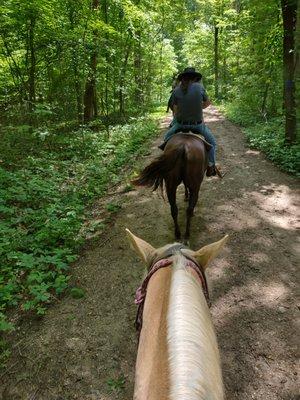 We were following Squirt, a very friendly lil' filly.