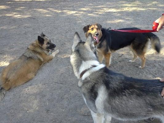 Cesar, Lars & his girlfriend, Sadie!