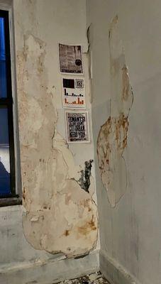 The stairwell wall at 36 Saint Marks is disintegrating.. causing health-threatening mold, and threat of electrical fire.