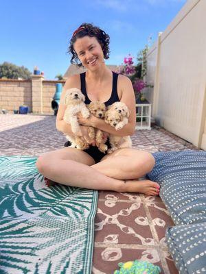 4 Mexican puppies & their foster mom