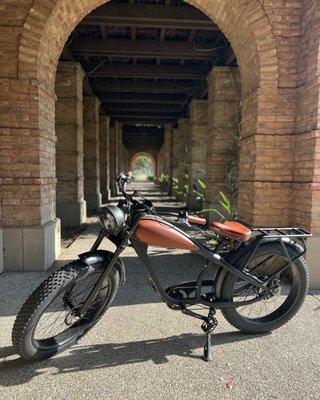 Cheetah Café Racer