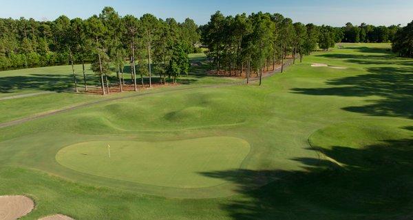 Wild Wing Avocet Golf Course Hole 1, Myrtle Beach, SC