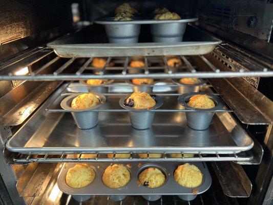 Blueberry muffins in the oven