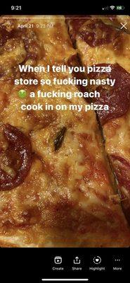 The roach cooked in on my pizza