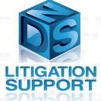 DNS Litigation Support