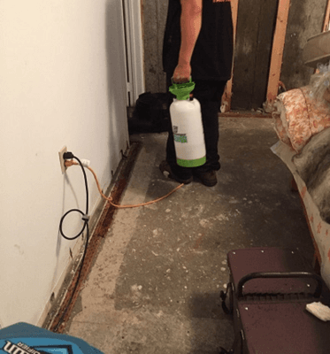 Mold Remediation NYC