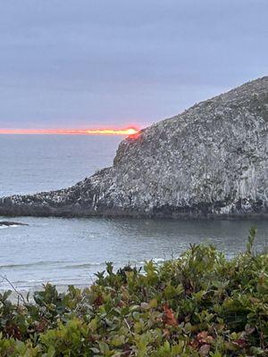 Seal Rocks RV Cove