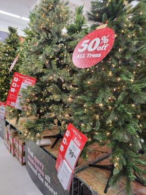 Great deals on Christmas trees