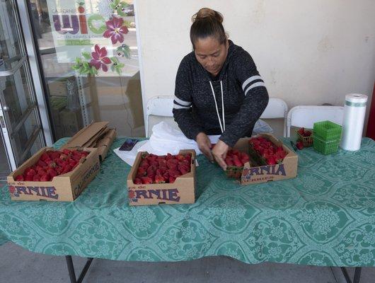 Strawberry lady.