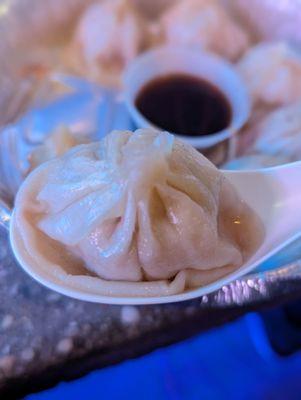 Bold Dumpling