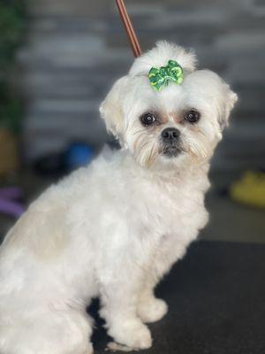 St. Patrick's Day bow