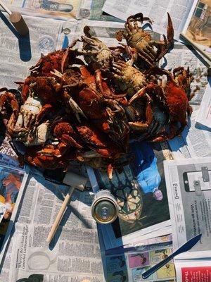 Crabs!