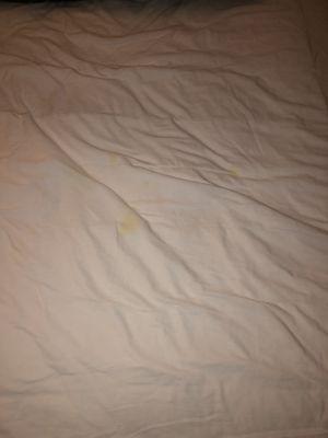 Pee stains on bed sheets that were also not replaced