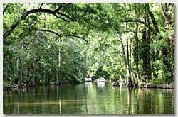 World famous Lake Dora Canal ride is awesome every time!