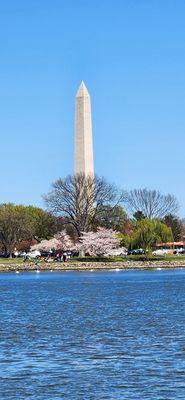 Washington Monument