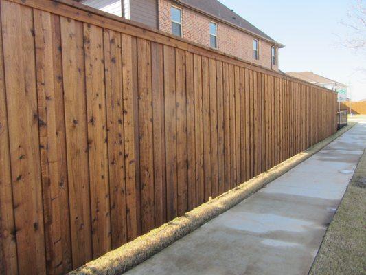 Pecan Stain on a Cedar fence in Plano.