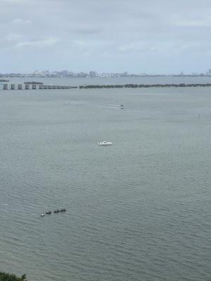 South Beach Watersports