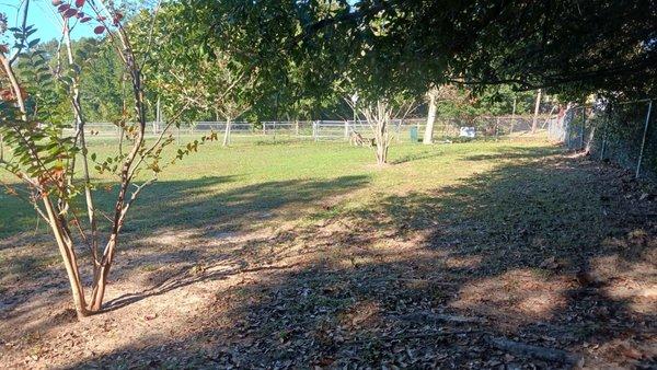 Looking across back home fence line From corner