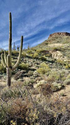 Brown's Ranch Trailhead