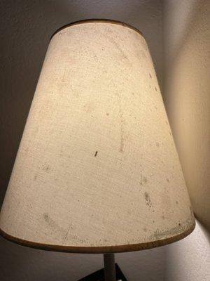 Moldy lamp shade