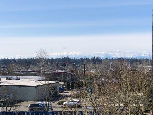 View from the back parking lot - Olympic Mountains