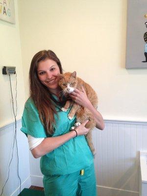 Berkeley Heights Animal Hospital