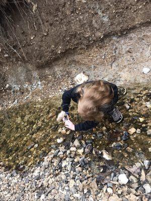 Creek exploration