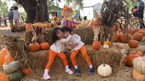 Pumpkin patch photo op