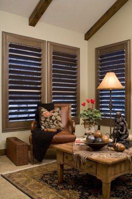 Norman shutters add long-term value to your home's investment. Motorization optional.