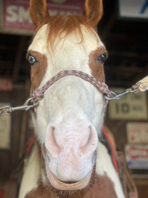 Mr. Patch smiling for a shot.