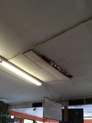 Damage to the ceiling at the rainier laundromat.