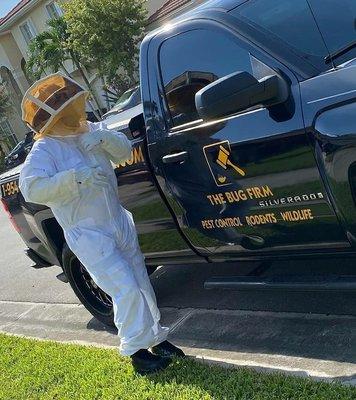 Call us for bee removal!