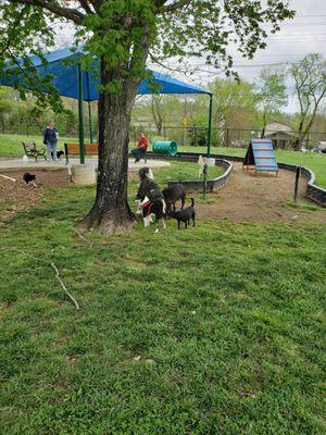 Sevierville Petsafe  Unleashed Dog Park