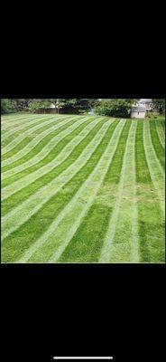 Lawn Care