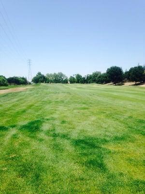 Fairways are in great shape.