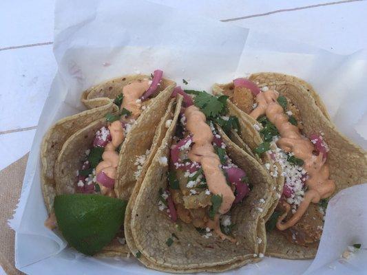 Fish Tacos-3 for $9