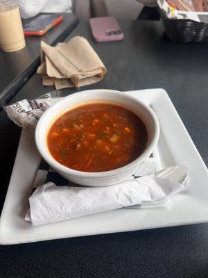 Beef Veg Soup