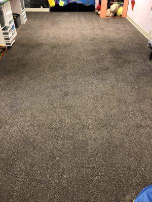 Carpet Cleaning