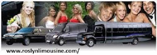 long island ny limo service