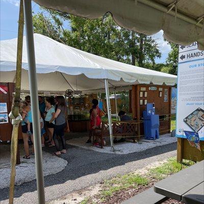 St Augustine Aquarium