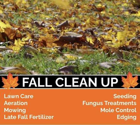 Fall clean ups