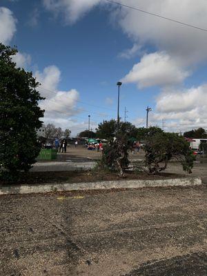 Crescent City Farmers Market: Tuesday Market