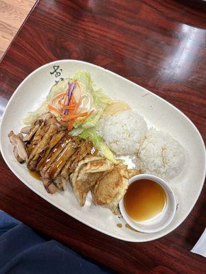 Chicken teriyaki and gyoza