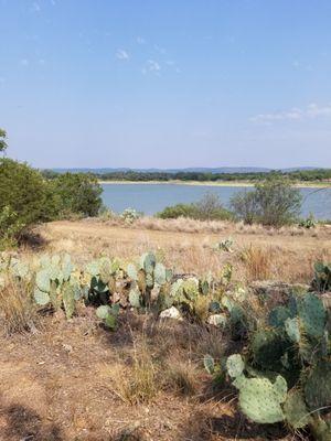 Nature trail with a lake view!