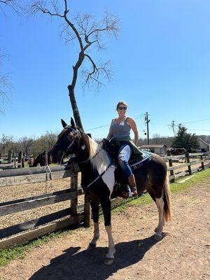 Silver Bit & Spur Farm